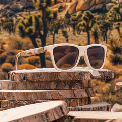 Joshua Tree National Park 2024